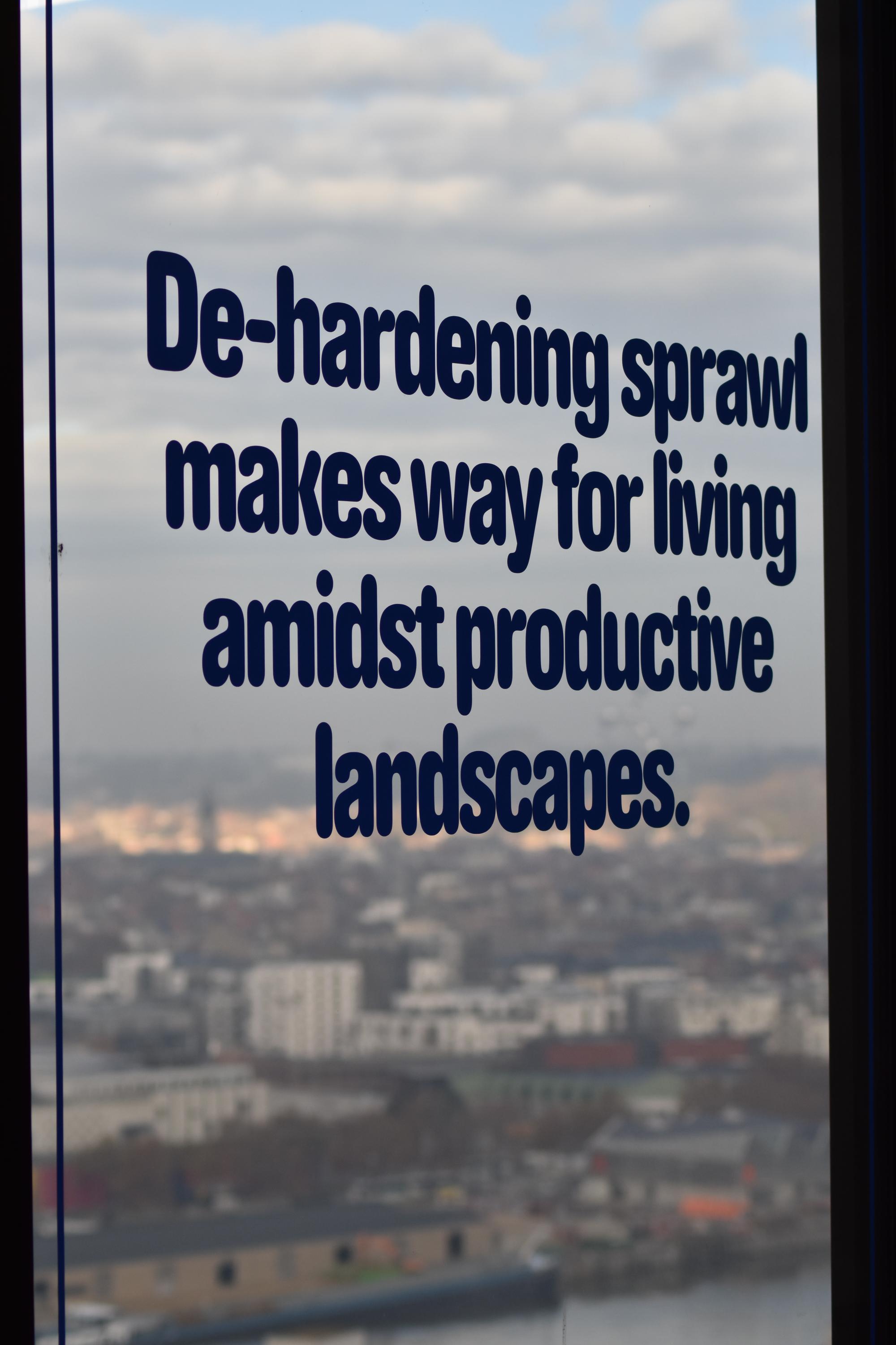 DSC_0604
